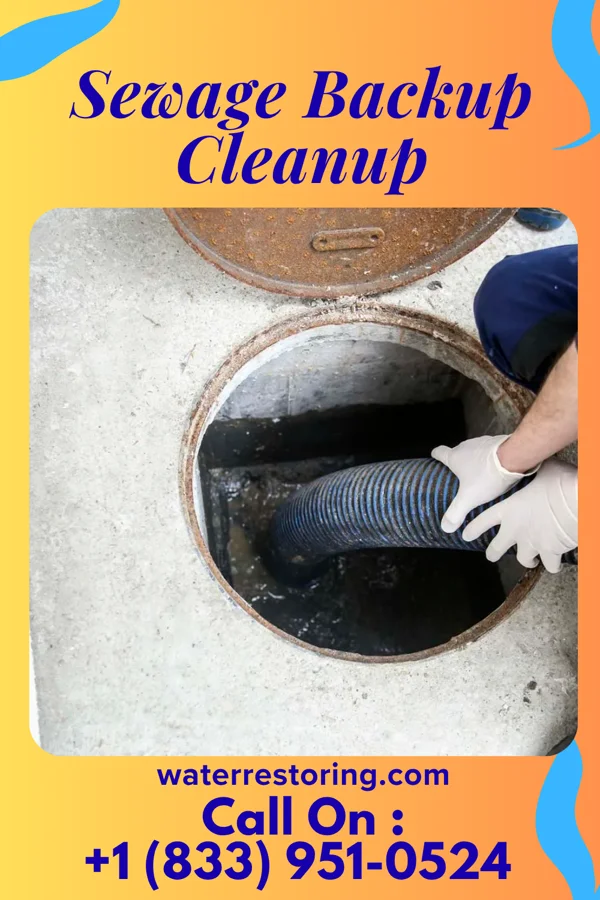 Sewage Backup Cleanup in Bloomington, NE