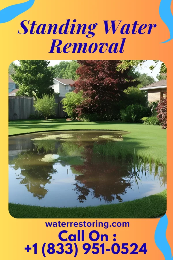 Standing Water Removal in Bloomington, NE
